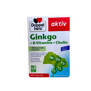 Doppelherz Ginkgo + B-Vitamine + Cholin Kapseln Капсулы для поддержания умственной работоспособности, 40 шт. 2374855400 фото